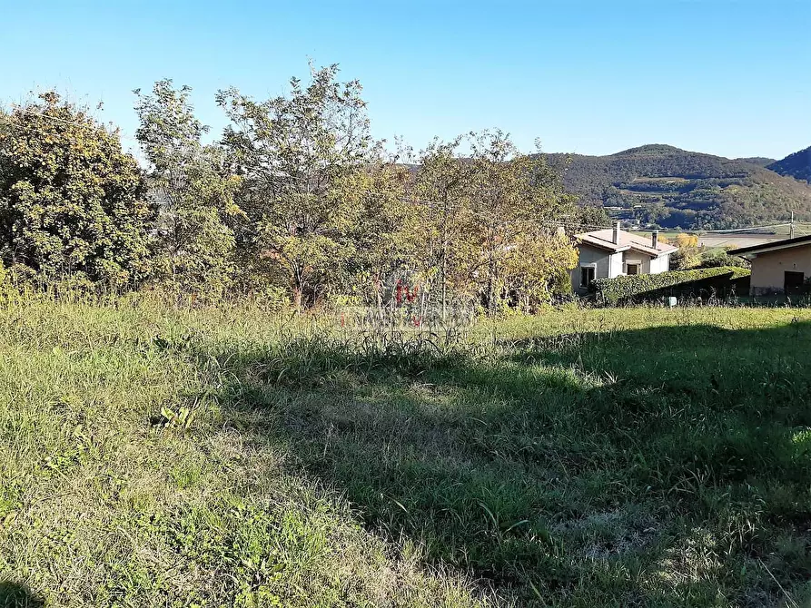 Immagine 4 di Terreno residenziale in vendita  in VIA CHIESA a Brendola