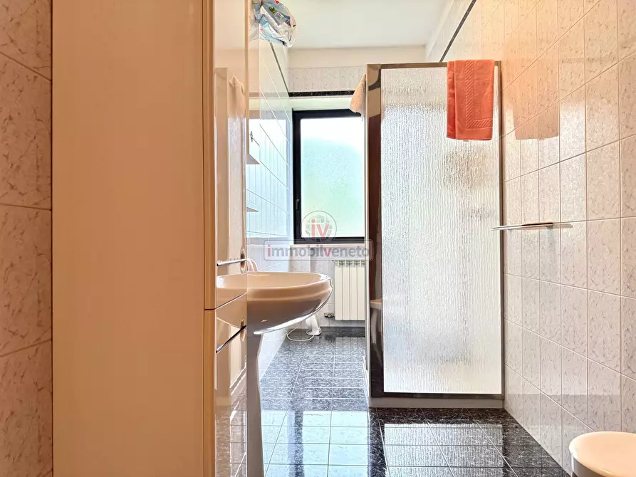 Immagine 33 di Capannone industriale in vendita  in VIA ROMA 52 a Alonte