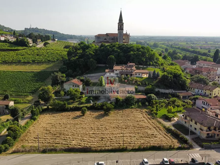 Immagine 3 di Terreno residenziale in vendita  in VIA ROMA 52 a Alonte