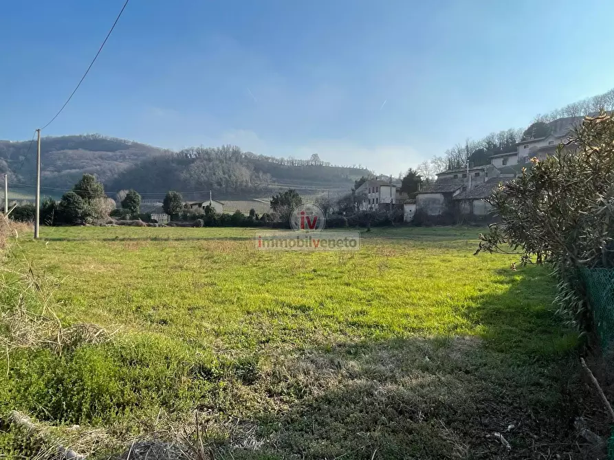 Immagine 17 di Terreno residenziale in vendita  in VIA ROMA 52 a Alonte