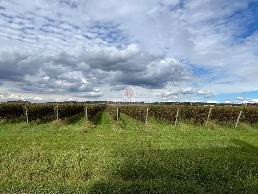 Immagine 19 di Casa semindipendente in vendita  in VIA TURATI a Alonte