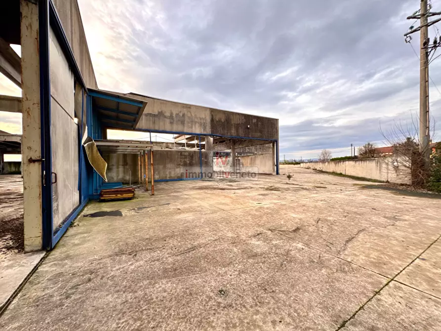 Immagine 3 di Capannone industriale in vendita  in VIA MASOTTO a Agugliaro
