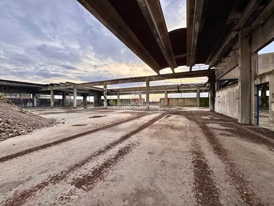 Immagine 4 di Capannone industriale in vendita  in VIA MASOTTO a Agugliaro