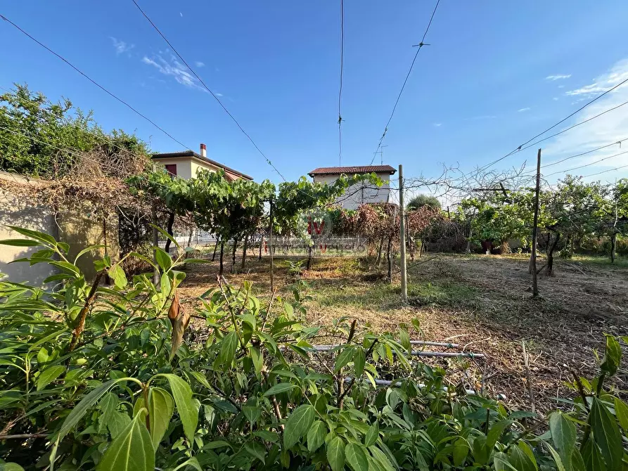 Immagine 9 di Casa indipendente in vendita  in VIA LOBBIA VICENTINA a Alonte