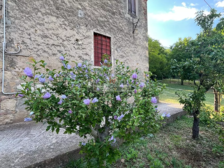 Immagine 13 di Casa indipendente in vendita  in VIA BORGOMALE a Brendola