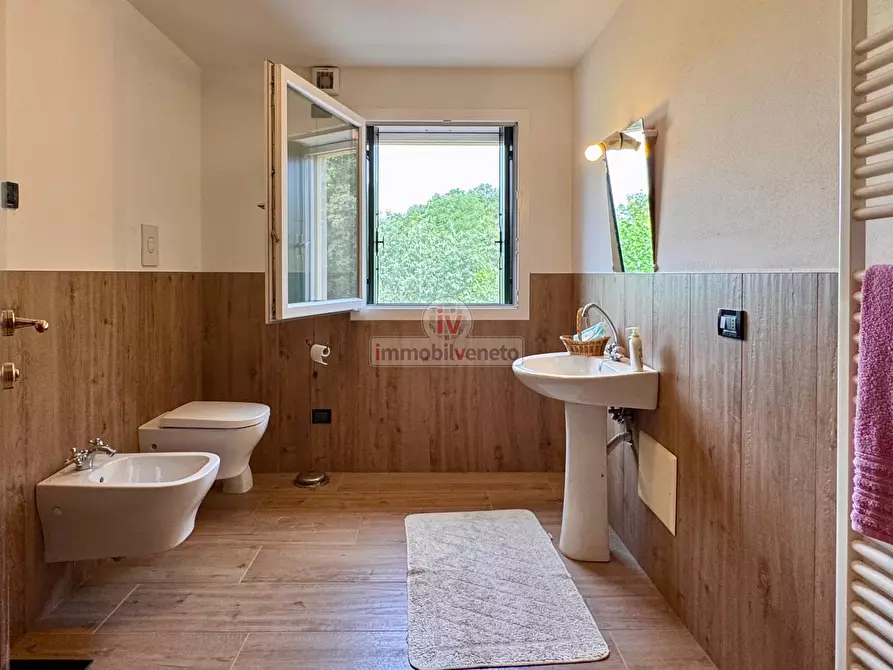 Immagine 22 di Casa indipendente in vendita  in VIA MOLINI a Alonte