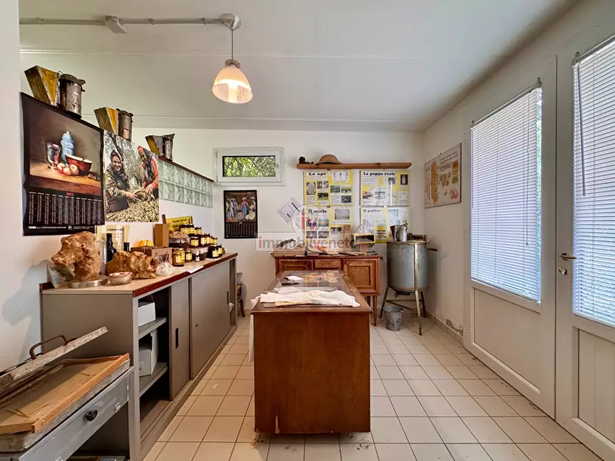 Immagine 25 di Casa indipendente in vendita  in VIA MOLINI a Alonte