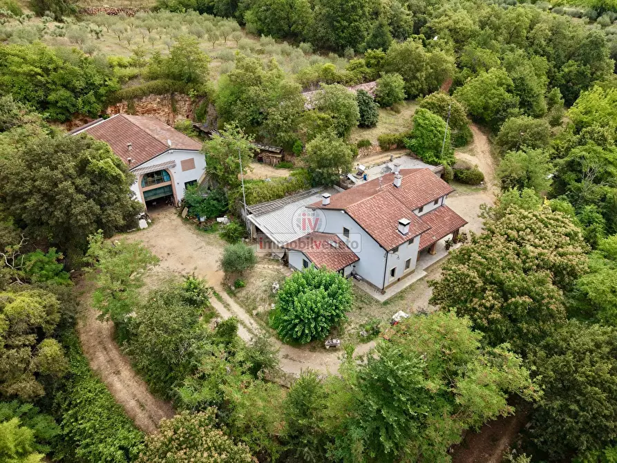 Immagine 2 di Casa indipendente in vendita  in VIA MOLINI a Alonte