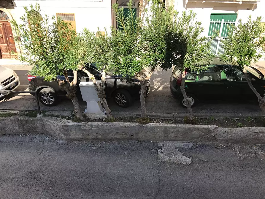 Immagine 7 di Casa indipendente in vendita  in via Orientale 52 a Casalbordino