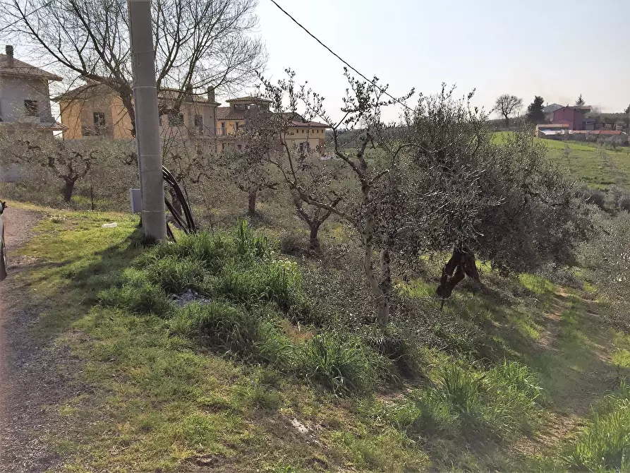 Immagine 2 di Terreno residenziale in vendita  in C.da San Lorenzo a Vasto
