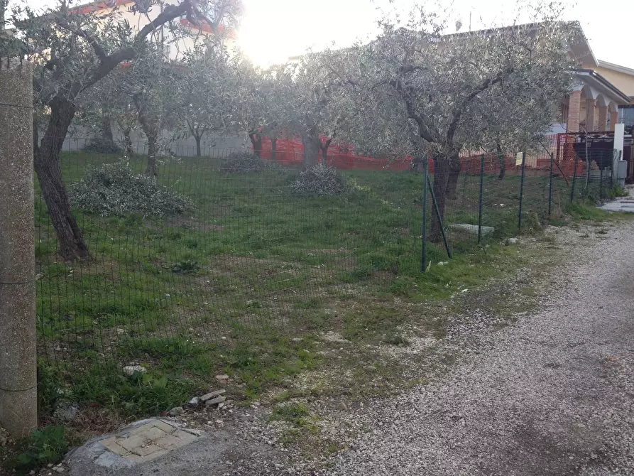 Immagine 1 di Terreno residenziale in vendita  in VIA INCORONATA a Vasto