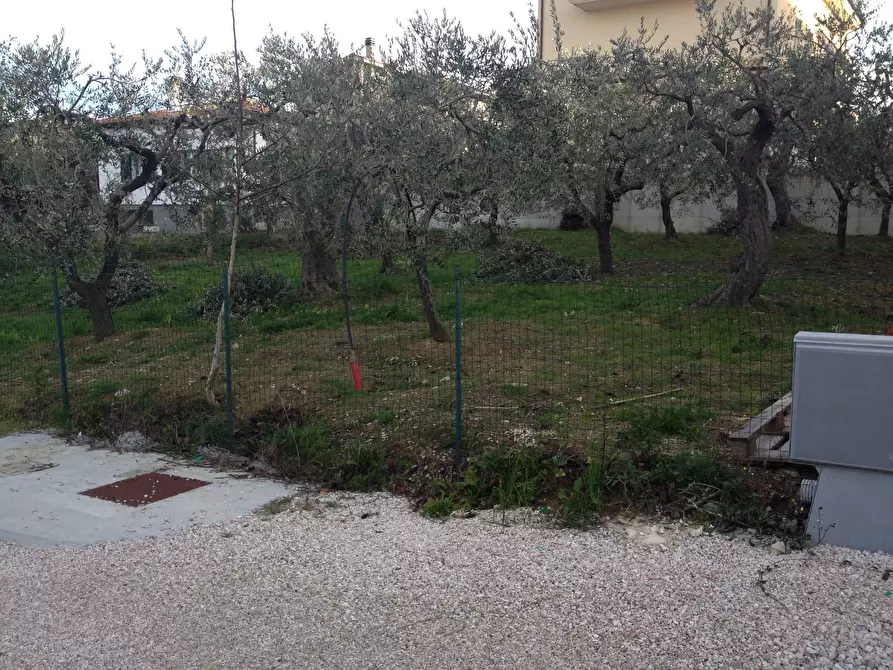 Immagine 3 di Terreno residenziale in vendita  in VIA INCORONATA a Vasto