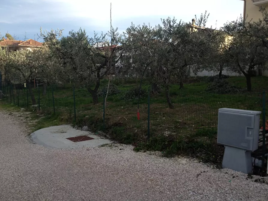 Immagine 4 di Terreno residenziale in vendita  in VIA INCORONATA a Vasto
