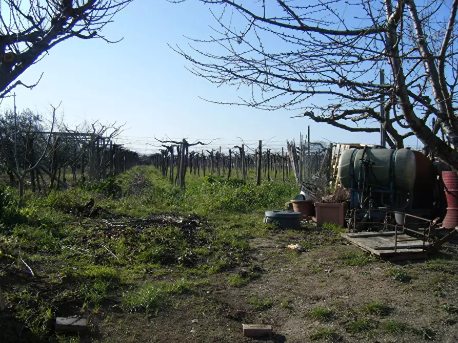 Immagine 3 di Villa in vendita  in PIANO CROCE a Pollutri