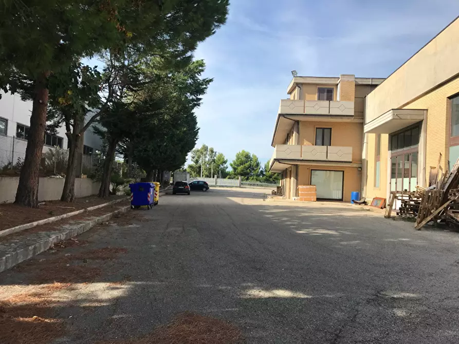 Immagine 5 di Locale commerciale   in SS 16 NORD a Vasto