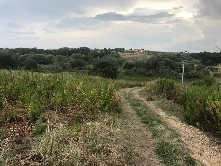 Immagine 3 di Terreno agricolo in vendita  in CONTRADA LEBBA a Vasto