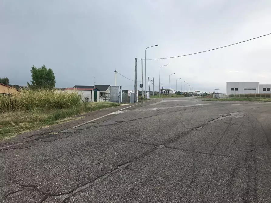 Immagine 5 di Terreno agricolo in vendita  in CONTRADA LEBBA a Vasto