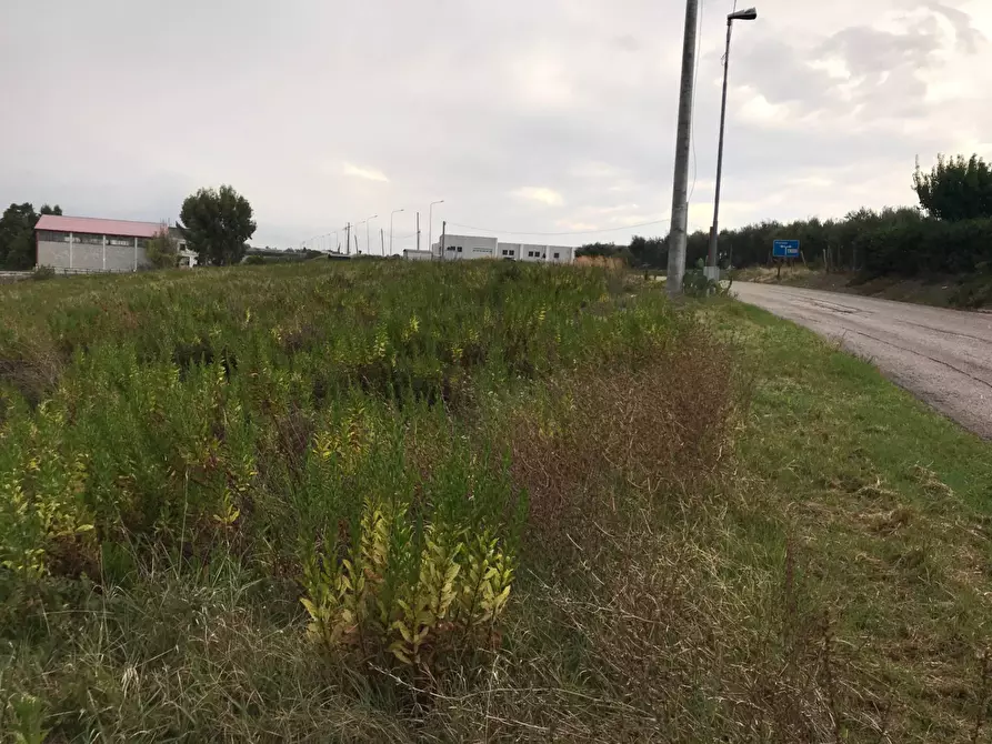 Immagine 6 di Terreno agricolo in vendita  in CONTRADA LEBBA a Vasto