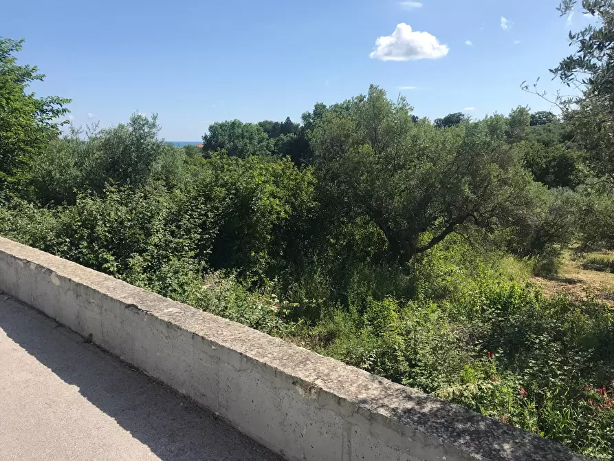Immagine 3 di Terreno residenziale in vendita  in VIA INCORONATA a Vasto