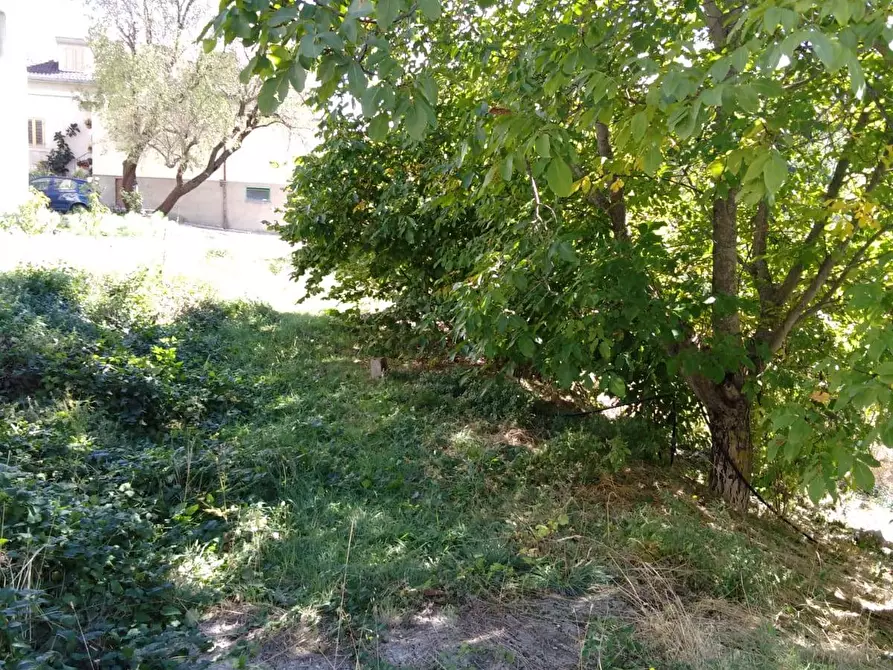 Immagine 5 di Casa indipendente in vendita  in VIA ITALIA 16 a Lettopalena