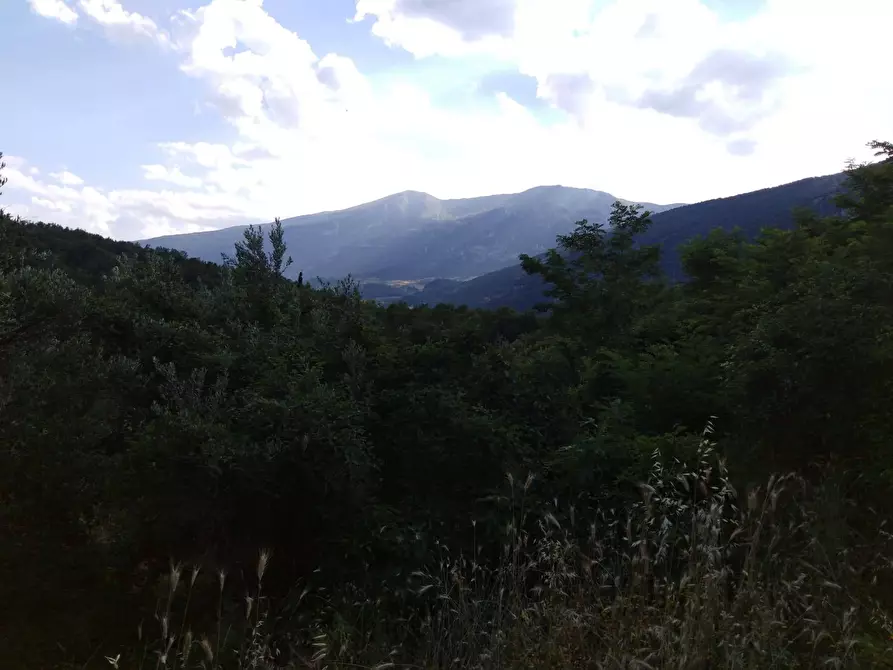 Immagine 28 di Casa indipendente in vendita  in VIA ITALIA 16 a Lettopalena