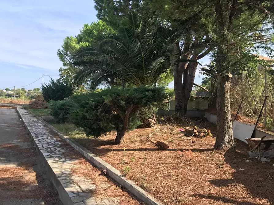 Immagine 13 di Locale commerciale   in SS 16 NORD a Vasto