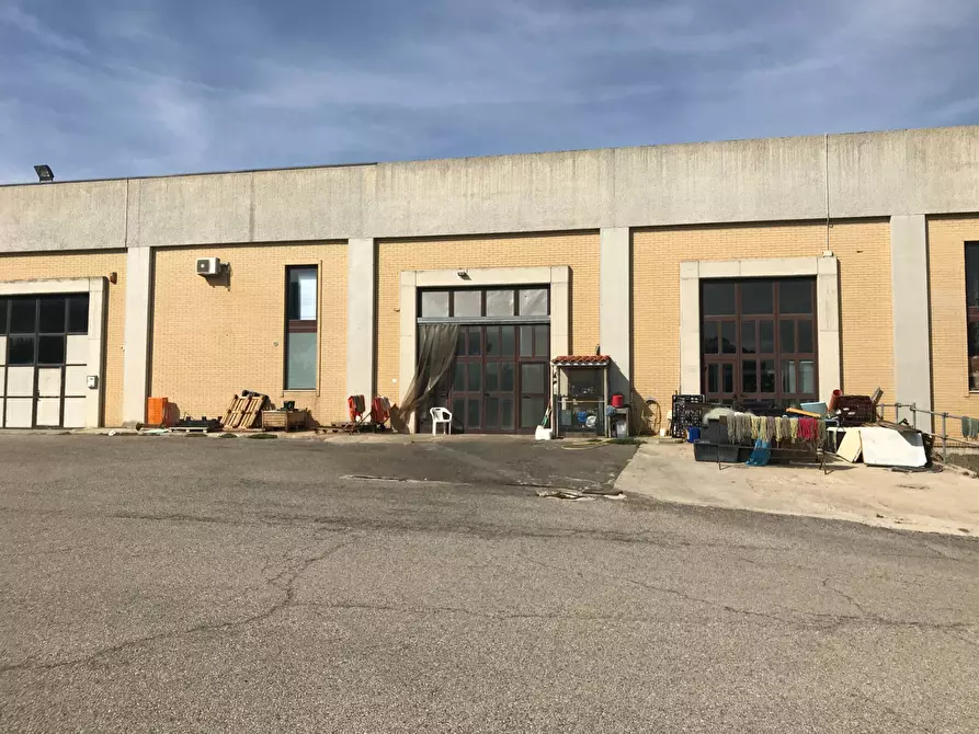 Immagine 59 di Locale commerciale   in SS 16 NORD a Vasto