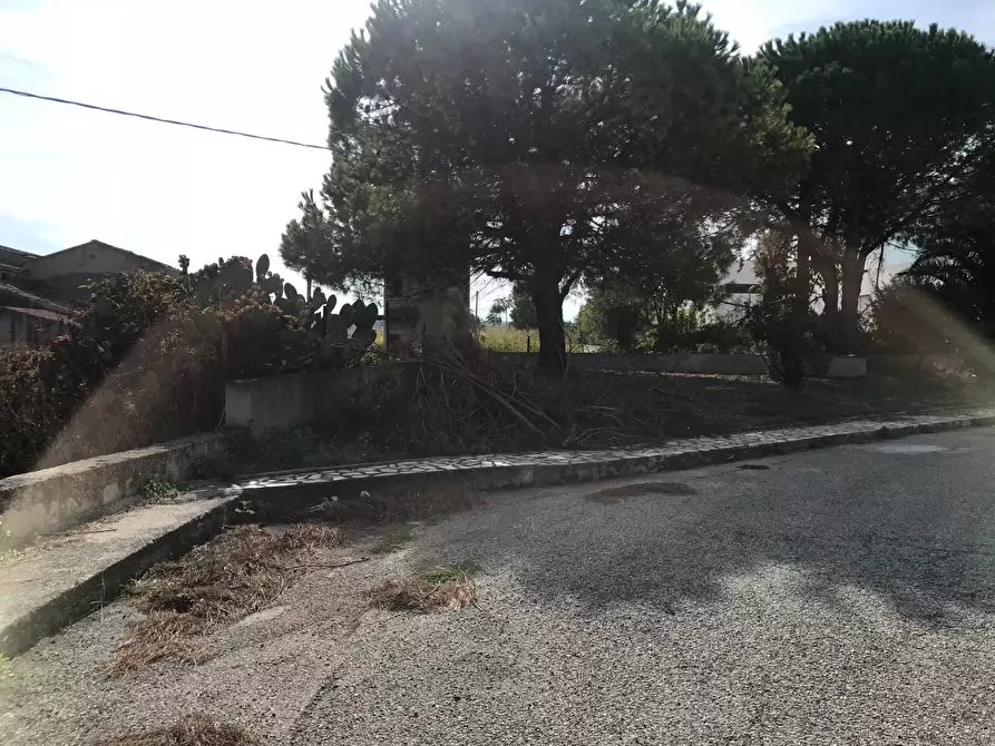 Immagine 61 di Locale commerciale   in SS 16 NORD a Vasto