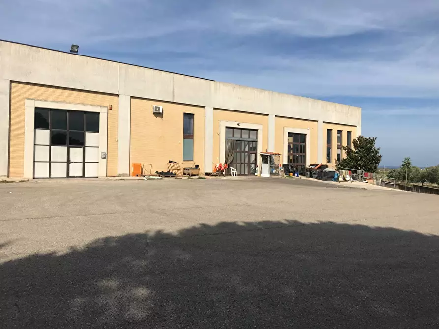 Immagine 62 di Locale commerciale   in SS 16 NORD a Vasto