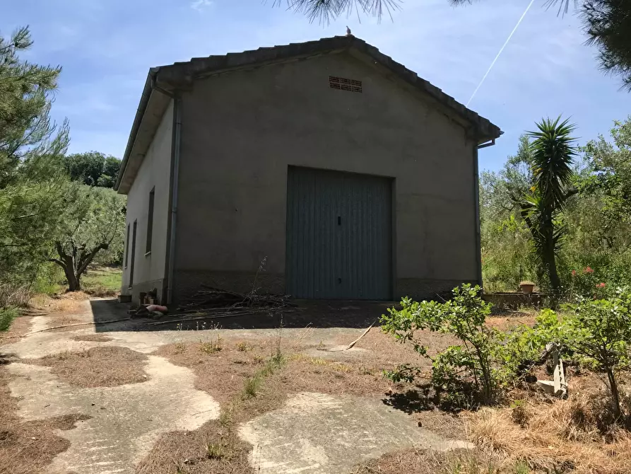 Immagine 3 di Rustico / casale in vendita  in Contrada Cerchi Grossi a Pollutri