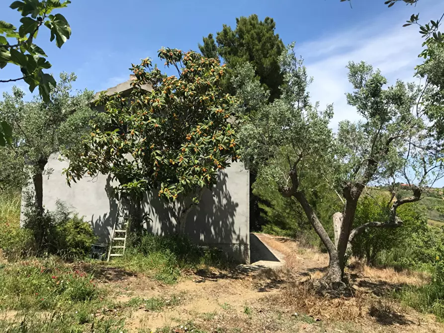 Immagine 12 di Rustico / casale in vendita  in Contrada Cerchi Grossi a Pollutri