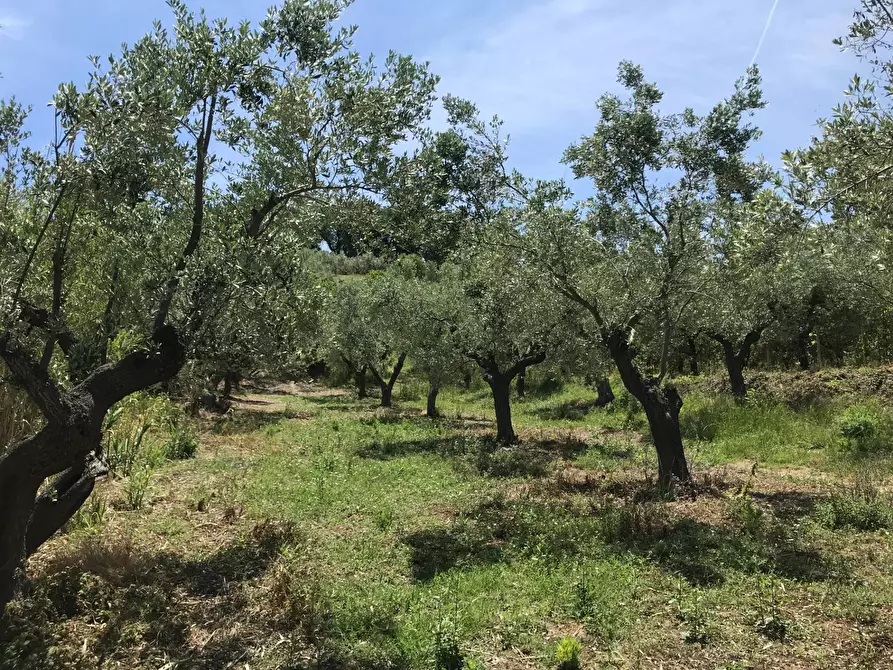 Immagine 13 di Rustico / casale in vendita  in Contrada Cerchi Grossi a Pollutri