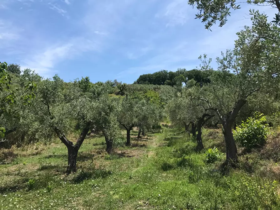 Immagine 16 di Rustico / casale in vendita  in Contrada Cerchi Grossi a Pollutri