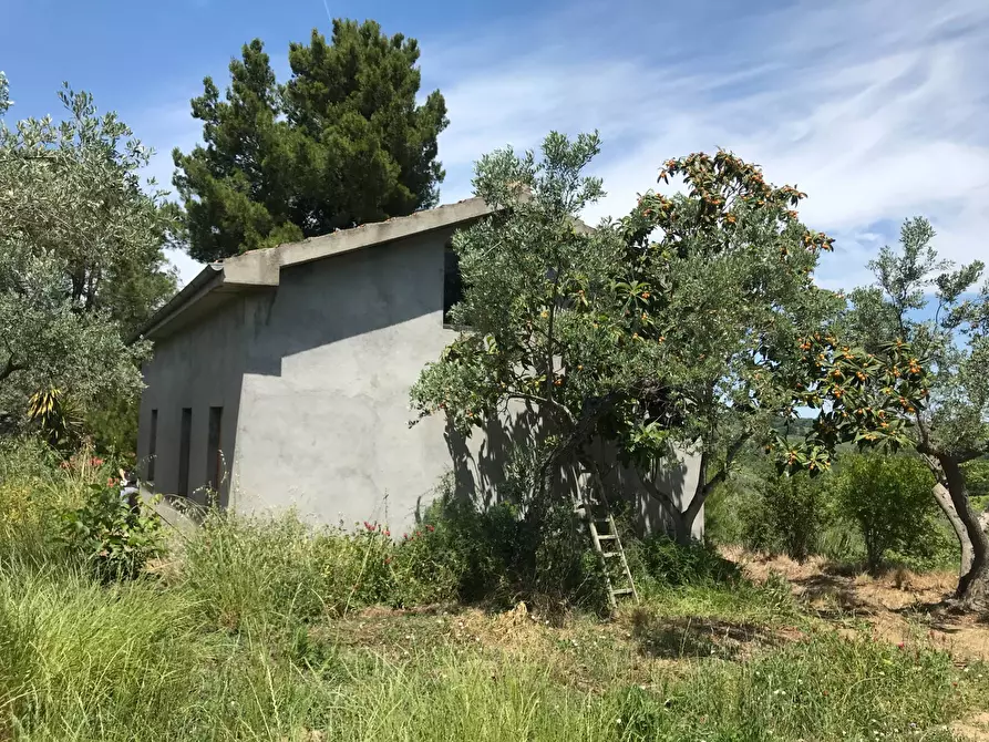 Immagine 14 di Rustico / casale in vendita  in Contrada Cerchi Grossi a Pollutri