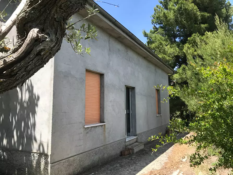 Immagine 2 di Rustico / casale in vendita  in Contrada Cerchi Grossi a Pollutri