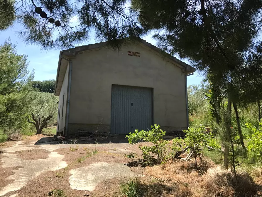 Immagine 15 di Rustico / casale in vendita  in Contrada Cerchi Grossi a Pollutri