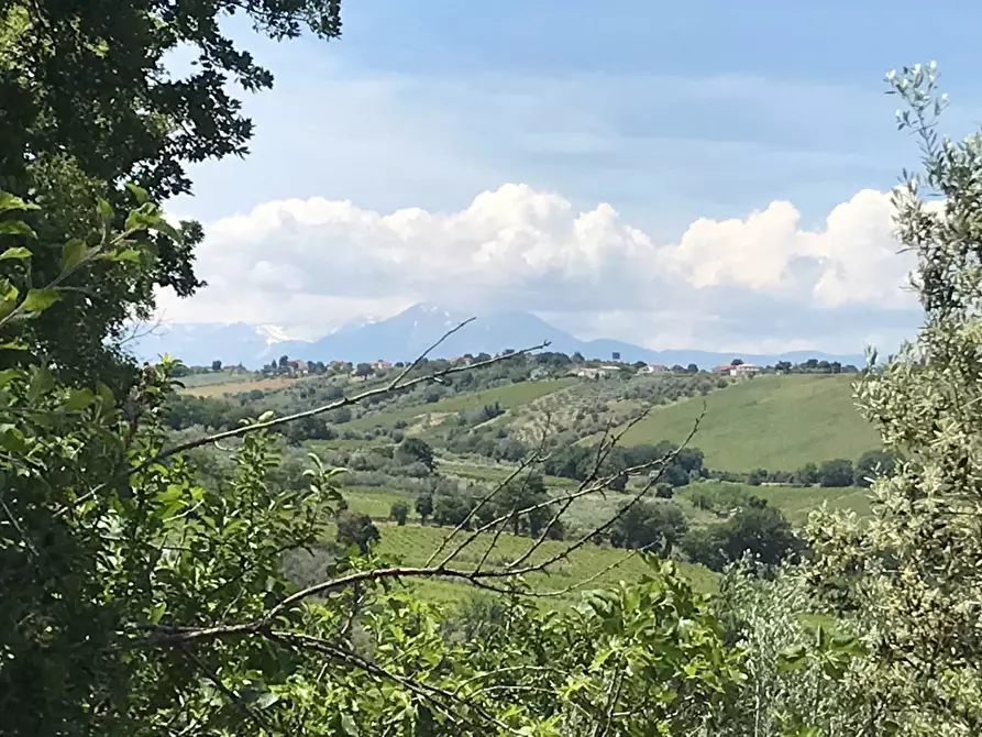 Immagine 17 di Rustico / casale in vendita  in Contrada Cerchi Grossi a Pollutri