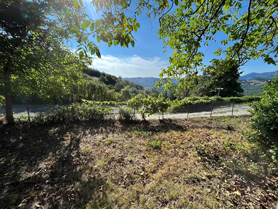 Immagine 17 di Casa indipendente in vendita  in ROFELLE, CA' DI BETTI a Badia Tedalda