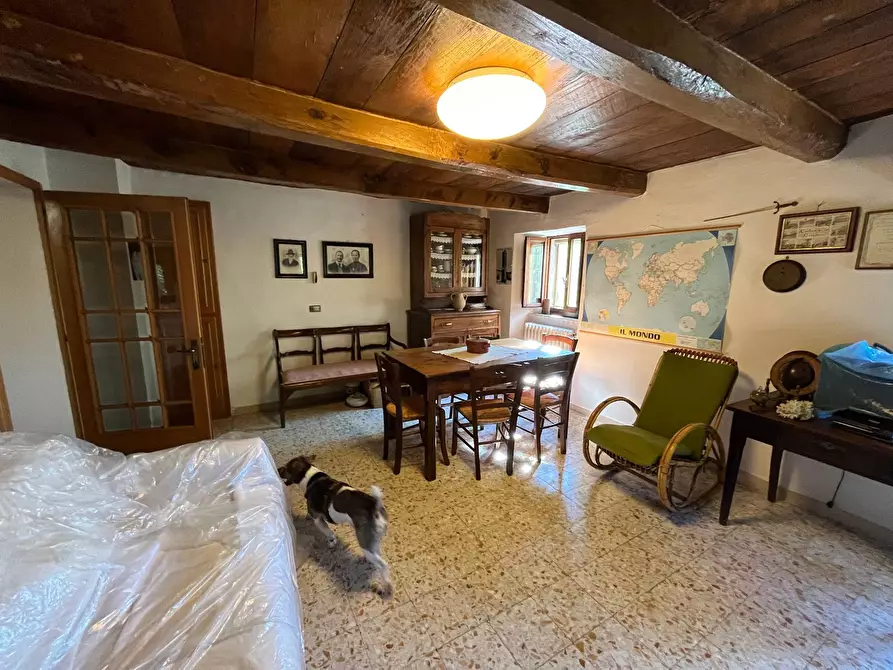 Immagine 35 di Casa indipendente in vendita  in ROFELLE, CA' DI BETTI a Badia Tedalda