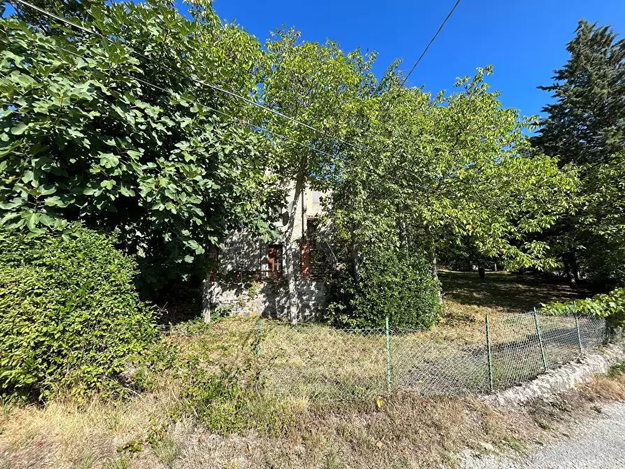 Immagine 63 di Casa indipendente in vendita  in ROFELLE, CA' DI BETTI a Badia Tedalda