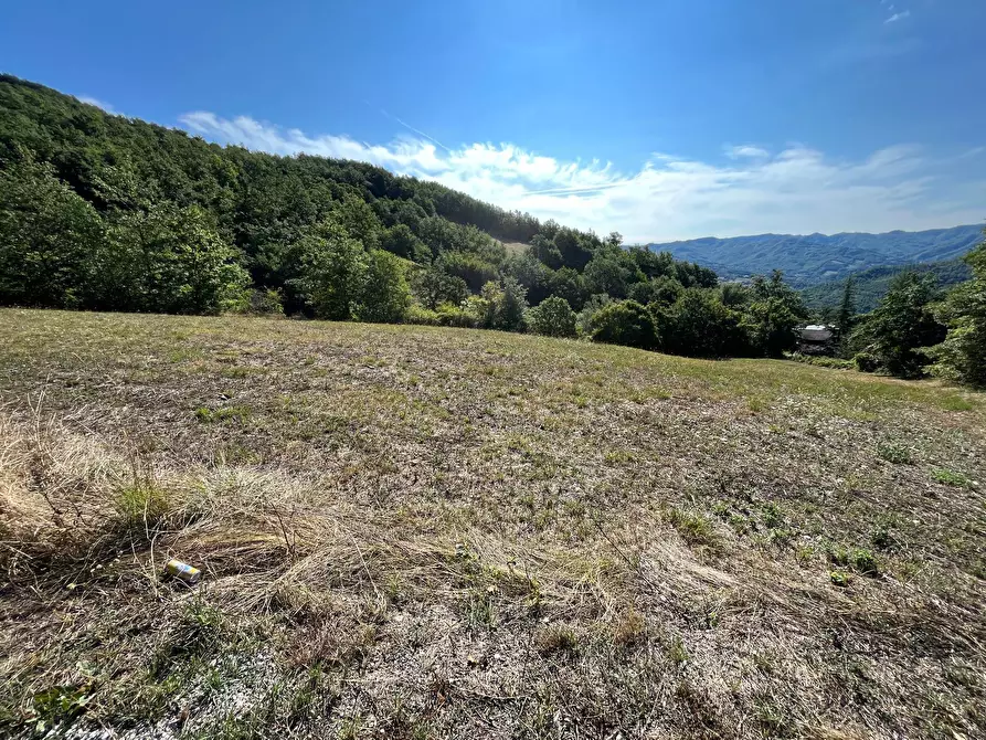 Immagine 64 di Casa indipendente in vendita  in ROFELLE, CA' DI BETTI a Badia Tedalda