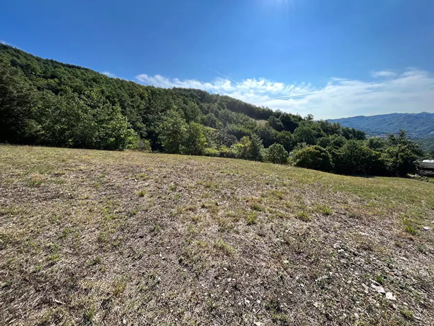 Immagine 65 di Casa indipendente in vendita  in ROFELLE, CA' DI BETTI a Badia Tedalda