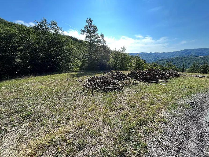Immagine 66 di Casa indipendente in vendita  in ROFELLE, CA' DI BETTI a Badia Tedalda