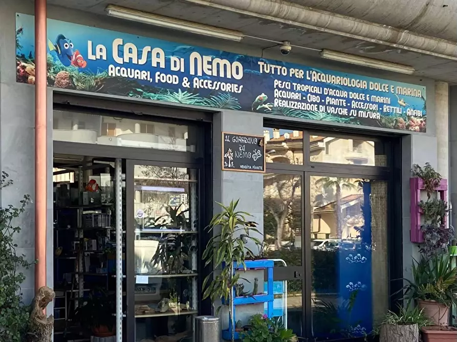 Immagine 2 di Locale commerciale in vendita  in SS 16 a Vasto