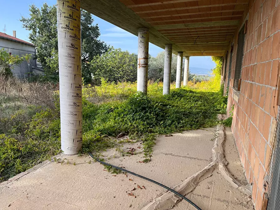 Immagine 14 di Casa indipendente in vendita  in VIA TRE CROCI a Pollutri