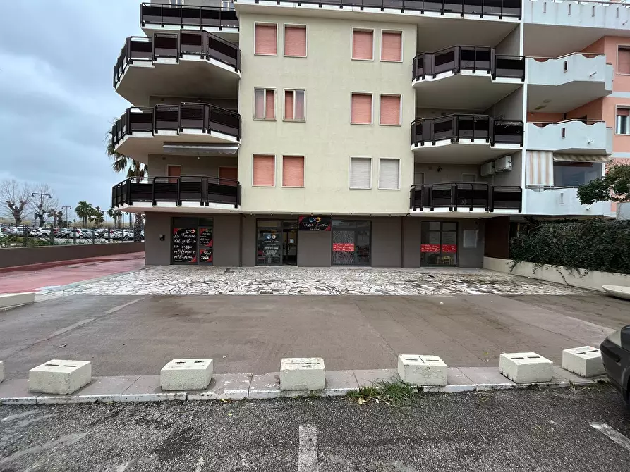 Immagine 23 di Agriturismo in vendita  in VIA MAGELLANO a San Salvo