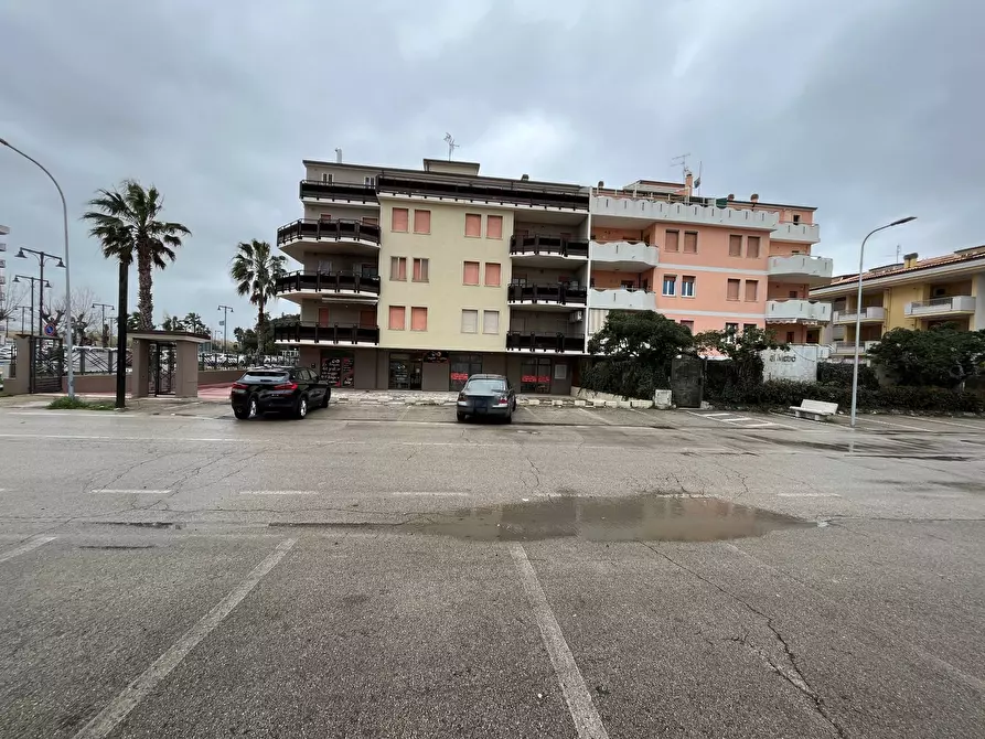 Immagine 25 di Agriturismo in vendita  in VIA MAGELLANO a San Salvo