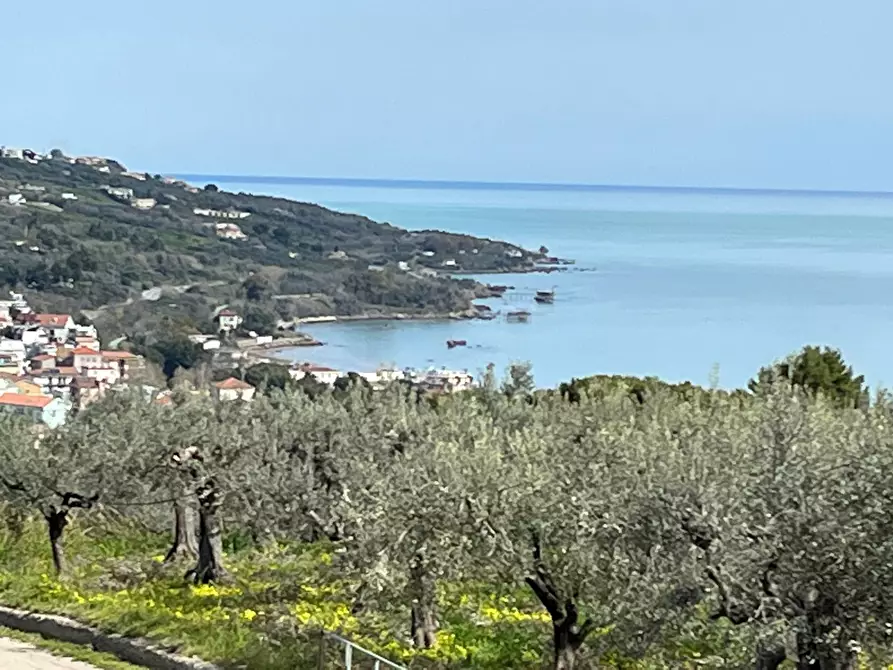 Immagine 1 di Casa indipendente in vendita  in VIA MONTEVECCHIO a Vasto