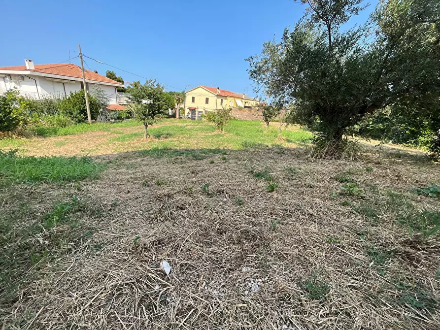 Immagine 34 di Villa in vendita  in VIA MONTEVECCHIO a Vasto