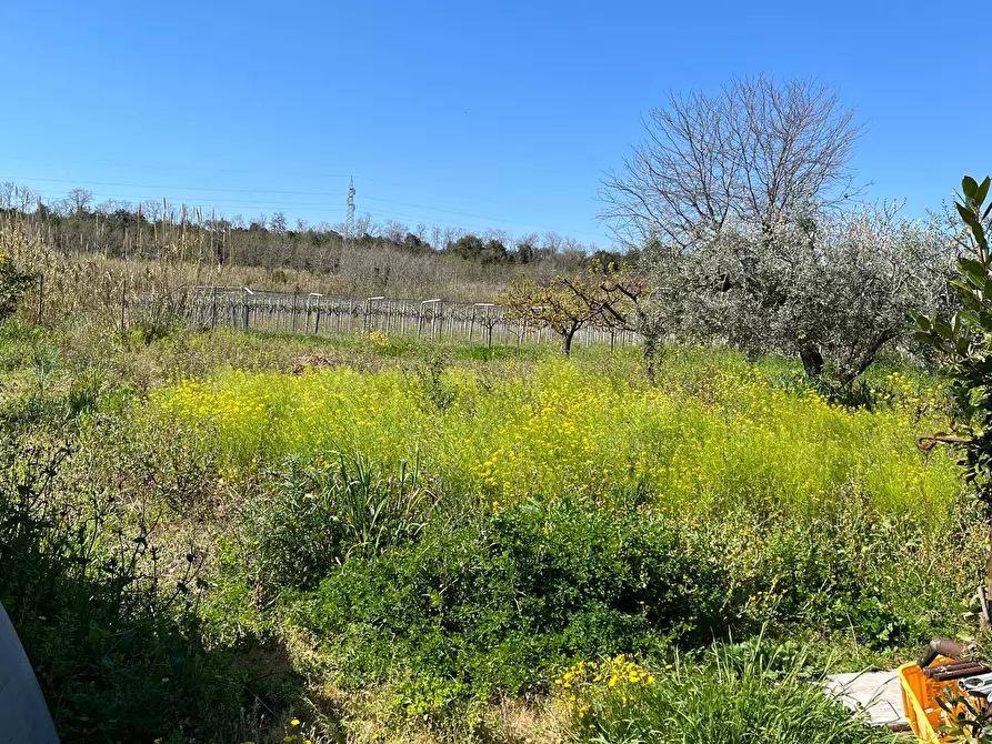 Immagine 7 di Locale commerciale in vendita  in SS 16 ADRFIATICA a San Salvo